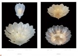 lighting-classic-2013_page_109