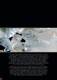 lighting-catalogue_page_06