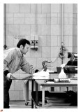 white_catalogue_3ed_page_224