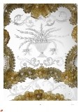 white_catalogue_3ed_page_256