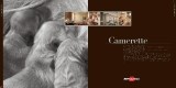 camerette_page_02