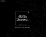 brochure-consumer-brummel_1