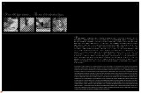 7-catalogo-generale-bruno-zampa-b-n_page_03