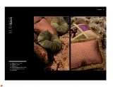 6-preview-2007_page_05