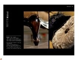6-preview-2007_page_39