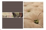 5-scenes-dinspiration-2008_page_19