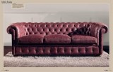cat-luxury-sofa_63