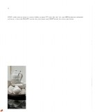 ciacci-gold_page_16