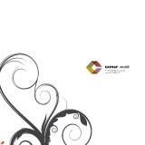 camar_page_01