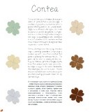 contea-2