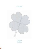 contea-21