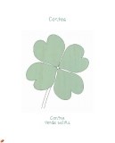 contea-3