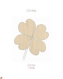 contea-33