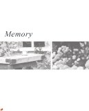 memory_page_01