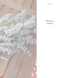 memory_page_37