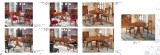 verona_page_99