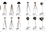 ebv_2013_catalogue_v1-0_page_30