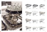 ebv_2013_catalogue_v1-0_page_44