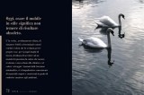 linea_b_web_37