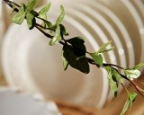 bamboo-bianca-19