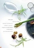 dreamfactory_e_page_14