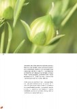 grandcru_page_26