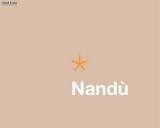 nandu_10_1